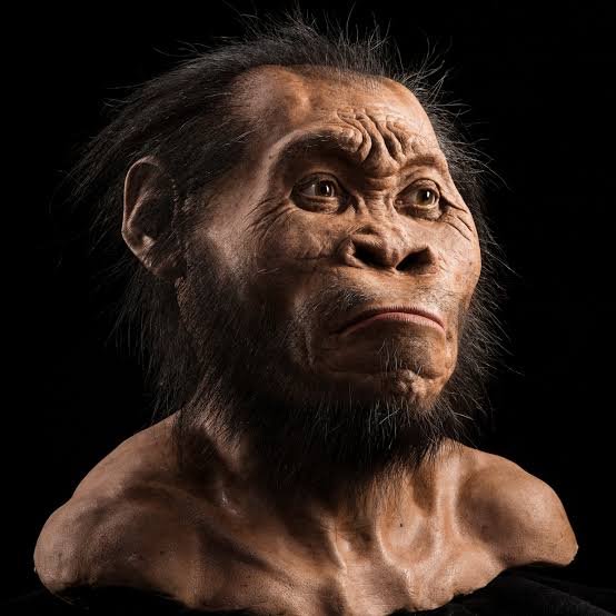 This is Homo Naledi - I will admit though, I have shaved quite a bit!