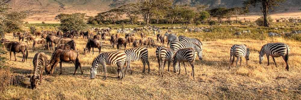 Africa - Magic of Ngorongoro!